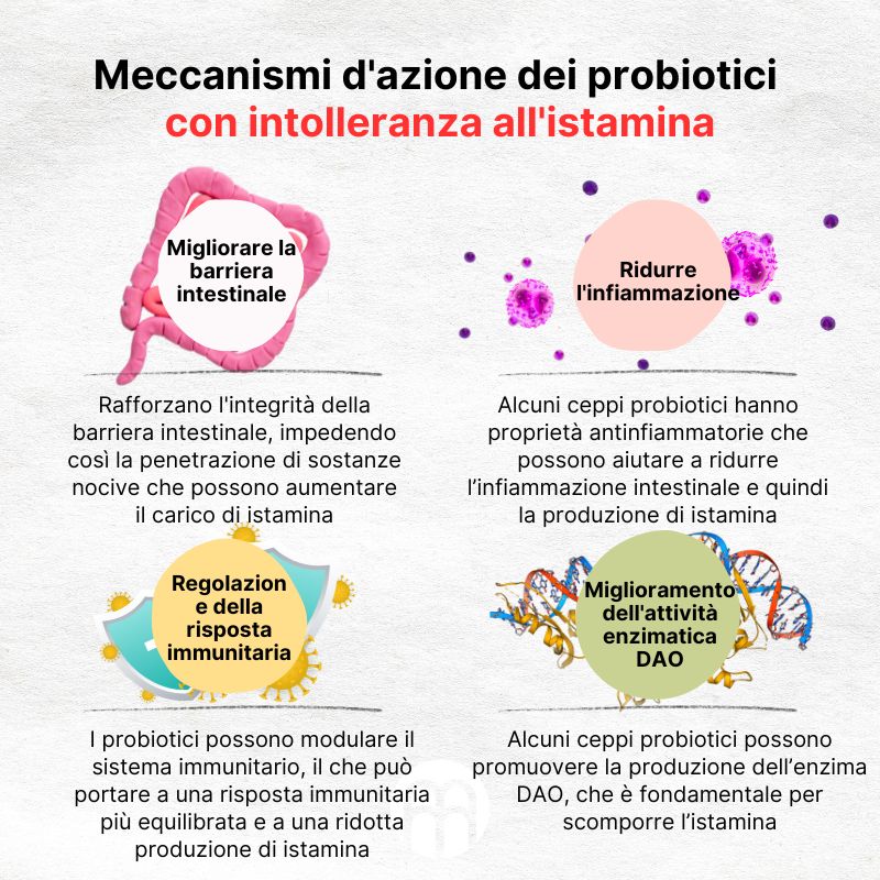 (Italština) Mechanismy účinku probiotik  při histaminové intoleranci